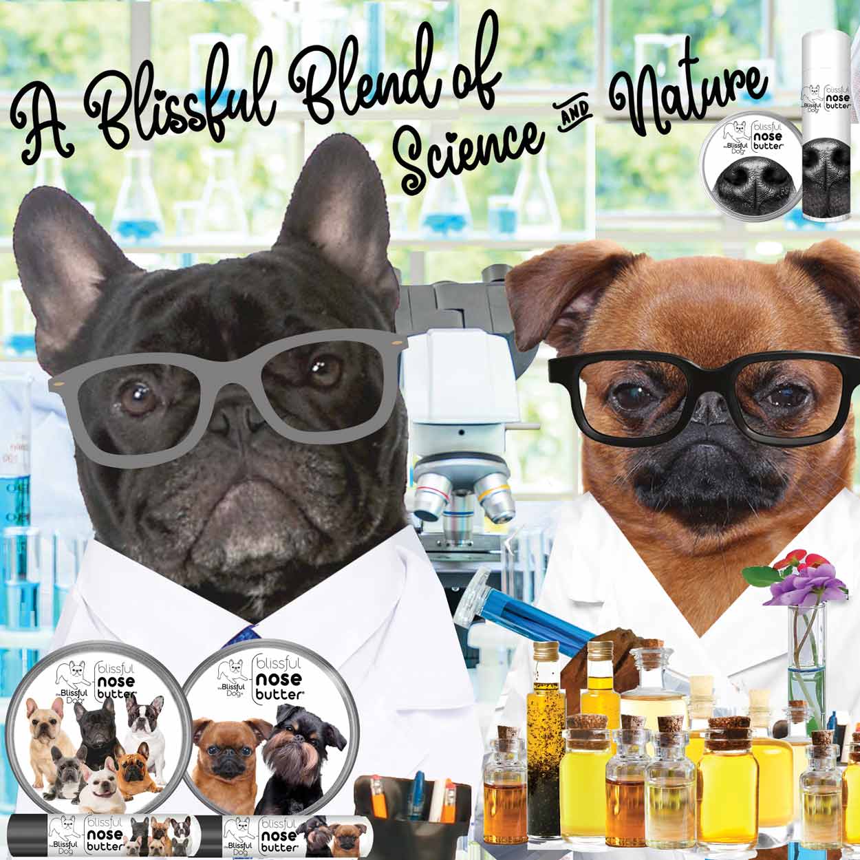 BALM FOR DRY DOG NOSES